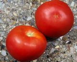 Foto del paso 3 de la receta: 🍅🌿🧀 Sándwich de miga caprese - Tomate, pesto de albahaca y queso 🧀🌿🍅