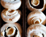 Foto del paso 2 de la receta: Champiñones al horno rellenos de ricotta