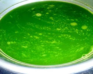 Cendol Kelor (Enak dan Sehat) - Step 2