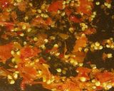 Foto langkah ke 3 dari resep 7. Sayur Rebung Udang Pedas kuah Gulai.