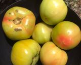 Foto del paso 1 de la receta: Tomates verdes en conserva
