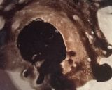 Foto langkah ke 4 dari resep Brownies coklat kukus.