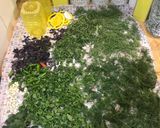 عکس مرحله 2 از دستور خیار شور با فرمول ۱۷:۱:۱ 🥒