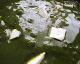 Palak paneer recipe step 6 photo