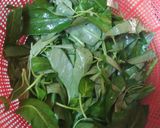 Foto langkah ke 1 dari resep Sayur Loncom Nangka muda.