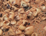 Foto del paso 5 de la receta: Calamarcitos encebollados