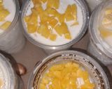 Foto langkah ke 3 dari resep Es Serut Melon Kelapa Muda.