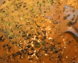 मेथी मटर मलाई (methi matar malai recipe in Hindi) रेसिपी चरण 4 फोटो