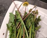 Une image de l'étape 1 de Salade de pissenlits et paquerettes.