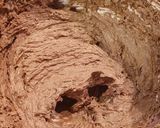 Pas rețetă Fursecuri cu nutella 1 fotografie