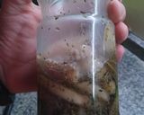 Foto del paso 7 de la receta: Berenjenas al escabeche!!!