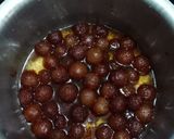 ગુલાબ જાંબુ (Gulab jambu Recipe in Gujarati) રેસીપી સ્ટેપ3ફોટો