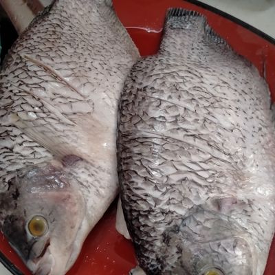Langkah 1