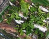 Foto del paso 5 de la receta Boquerones en vinagre - Agritos en Alicante 😍😍😍