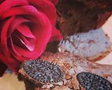 A picture of step 6 of Oreo fudge brownies.