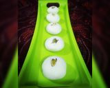 A picture of step 6 of Sandesh.
