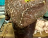 Foto del paso 6 de la receta: Colita de cuadril rellena (al horno)