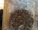 Foto del paso 4 de la receta: Hamburguesas de lentejas