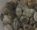 Foto del paso 1 de la receta: Almejas en salsa