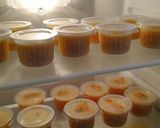 Foto langkah ke 6 dari resep Puding susu mangga.