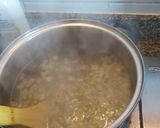Foto del paso 2 de la receta: Pavo de harina tostada