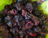 Foto del paso 4 de la receta: Mermelada de cerezas casera