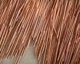 Bolognai, égetett spagettivel recept fázis 3 fotója