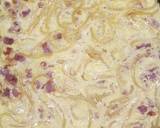 Spaghetti frittata recipe step 3 photo
