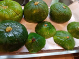 Zapallitos Rellenos