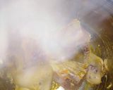Foto del paso 2 de la receta: Cazuela de pollo con chuchoca