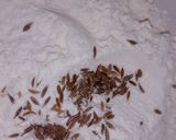 A picture of step 1 of Papri chaat.