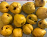 Birsalma kompót recept fázis 1 fotója