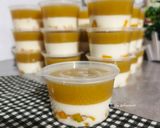 Foto langkah ke 6 dari resep Pudding Susu Mangga.