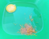 Foto del paso 4 de la receta: Budín húmedo de naranjas (c/1 huevo y aceite!) Sin lactosa