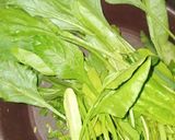पालक और प्याज़ के पराठे (palak aur pyaz ke parathe recipe in Hindi) रेसिपी चरण 1 फोटो