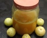 આથેલા આમળાં (Athela Amla Recipe In Gujarati) રેસીપી સ્ટેપ2ફોટો