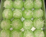 Foto langkah ke 4 dari resep Roti Sobek Pandan.