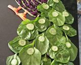 A picture of step 13 of Peacock style salad.
