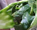 Foto del paso 2 de la receta: Tortillas con nopal y espinaca