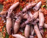 Foto langkah ke 2 dari resep Sambel Cumi Asin Pedas Super Recommended !.