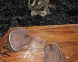 Foto del paso 4 de la receta: Lengua a la vinagreta