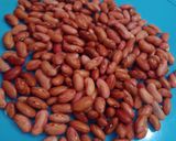 Foto langkah ke 1 dari resep Puding Sari Kacang Merah.