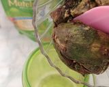 Foto langkah ke 1 dari resep Avocado Matcha Ice Cream.
