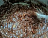 Foto langkah ke 4 dari resep Muffin Pisang Coklat.