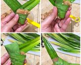 Foto langkah ke 2 dari resep Ayam goreng pandan (fibercreme).