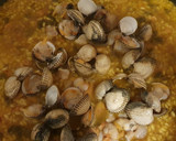 Foto del paso 8 de la receta: Arroz con Berberechos y Sepia