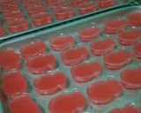Foto langkah ke 5 dari resep 5. Puding strawberry mini super gampil.