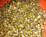 A picture of step 2 of Sprouts.