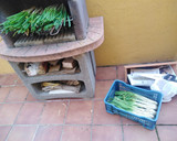 Foto del paso 1 de la receta: Calçots a la parrilla, fácil, fácil¡¡