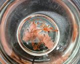 Gambar langkah 3 resipi Sakura Raindrops Cake (Mizu Shingen Sakura Mochi).